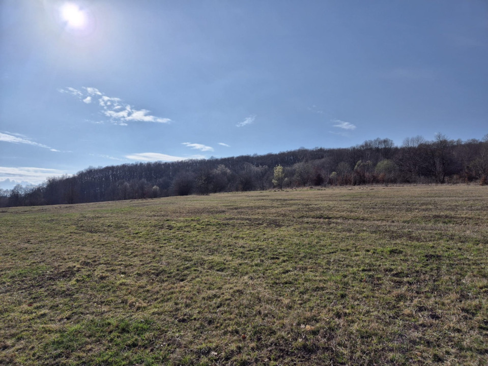 De vanzare teren intravilan in Valcele, zona rezidentiala exclusivista