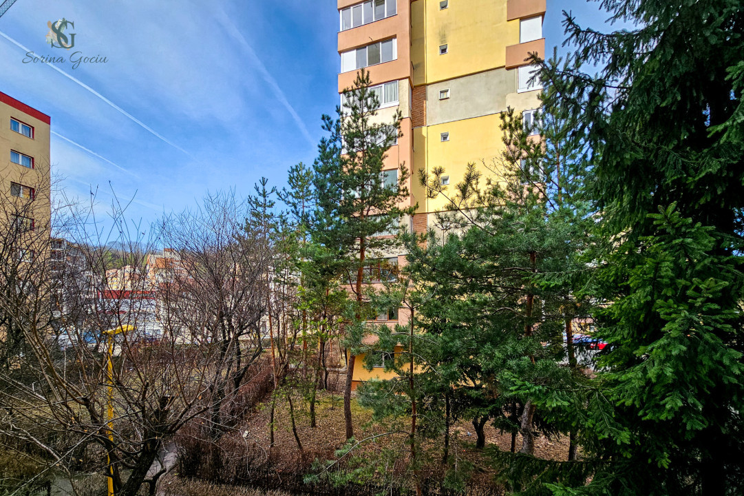 Mobilat si utilat lux cu finisaje moderne, 3 camere decomandate, St. Sitarului