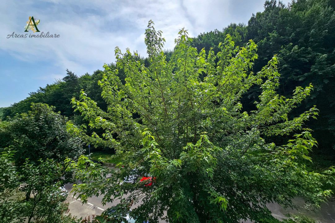 De inchiriat apartament 2 camere decomandat in Racadau