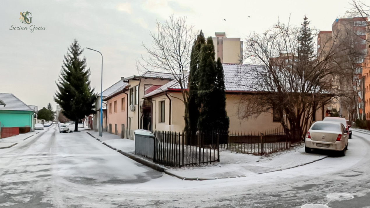 Spațiu comercial versatil pretabil pentru multiple activități, Brasov