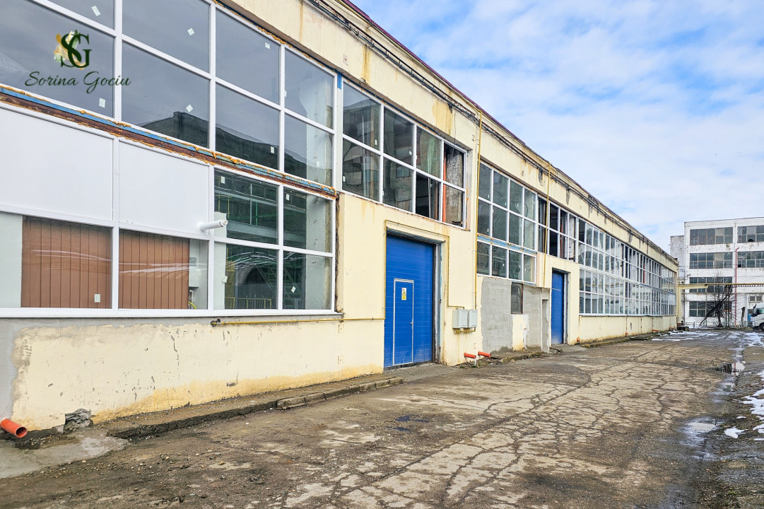 Hala indistriala optimizată pentru activități de producție, Făgăraș, Brașov