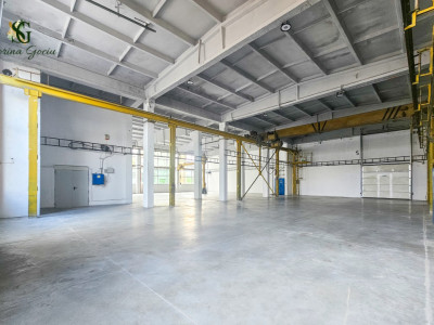 Hala indistriala optimizată pentru activități de producție, Făgăraș, Brașov